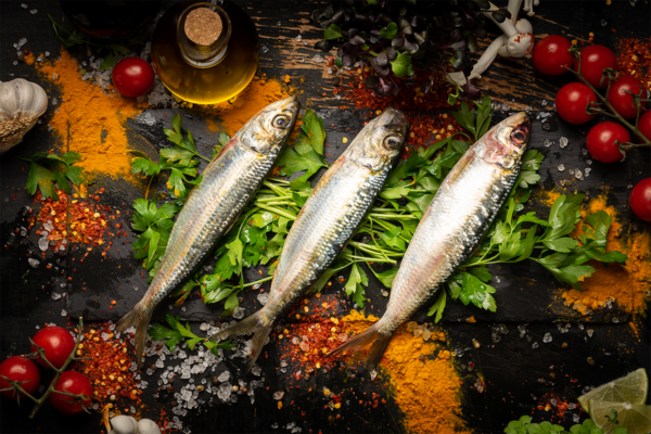Sardine fresh